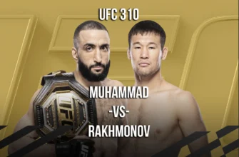 UFC 310